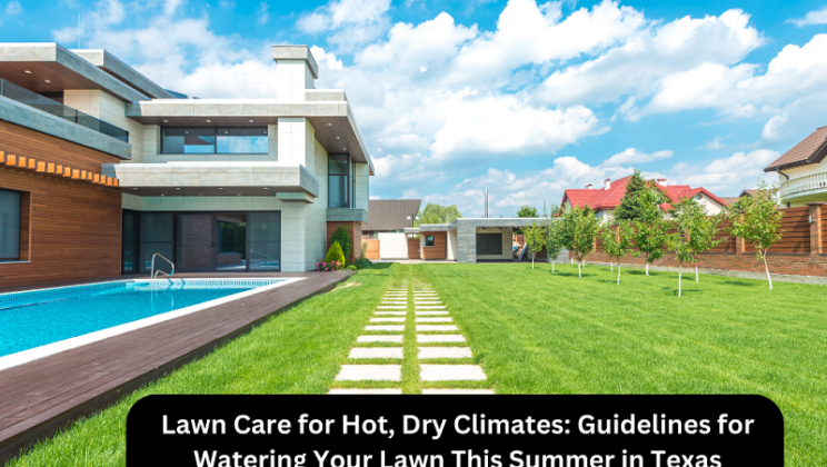 Lawn Care for Hot, Dry Climates: Guidelines for Watering Your Lawn This Summer in Texas