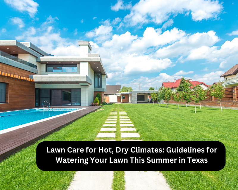 Lawn Care for Hot, Dry Climates: Guidelines for Watering Your Lawn This Summer in Texas