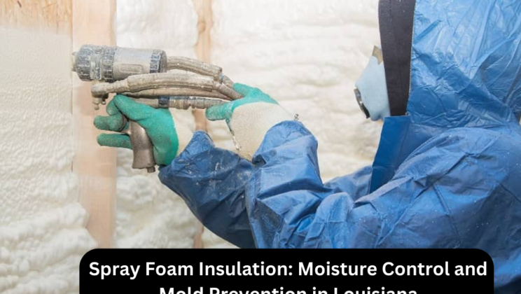 Spray Foam Insulation: Moisture Control and Mold Prevention in Louisiana